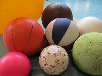 Sport- und Reitvereine