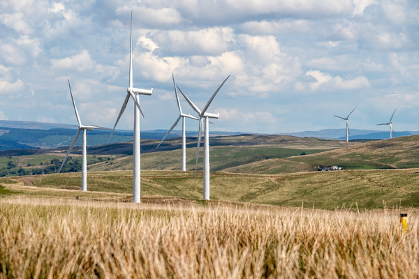 Windräder auf einer Wiese