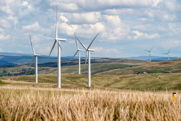 Windräder auf einer Wiese