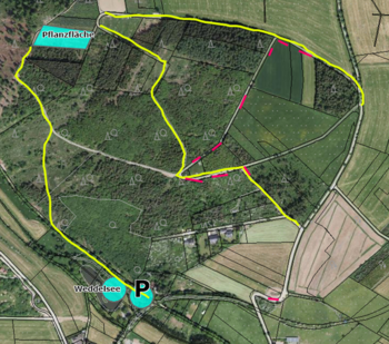 blau = Pflanzfläche und zur Orientierung der Weddelsee mit Parkmöglichkeit rot = Parkmöglichkeiten  an den Wegesrändern sofern Fläche es zulässt. Gelb: mögliche Wege/Fusswege zur Pflanzfläche