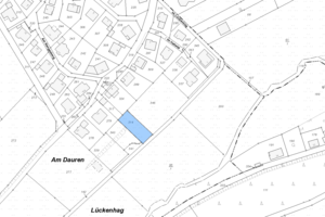 Lageplan Parzelle 314 - Im Lückenhag 9, 59964 Medebach-Oberschledorn