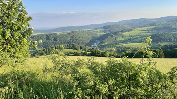 Bürgerwald Medebach