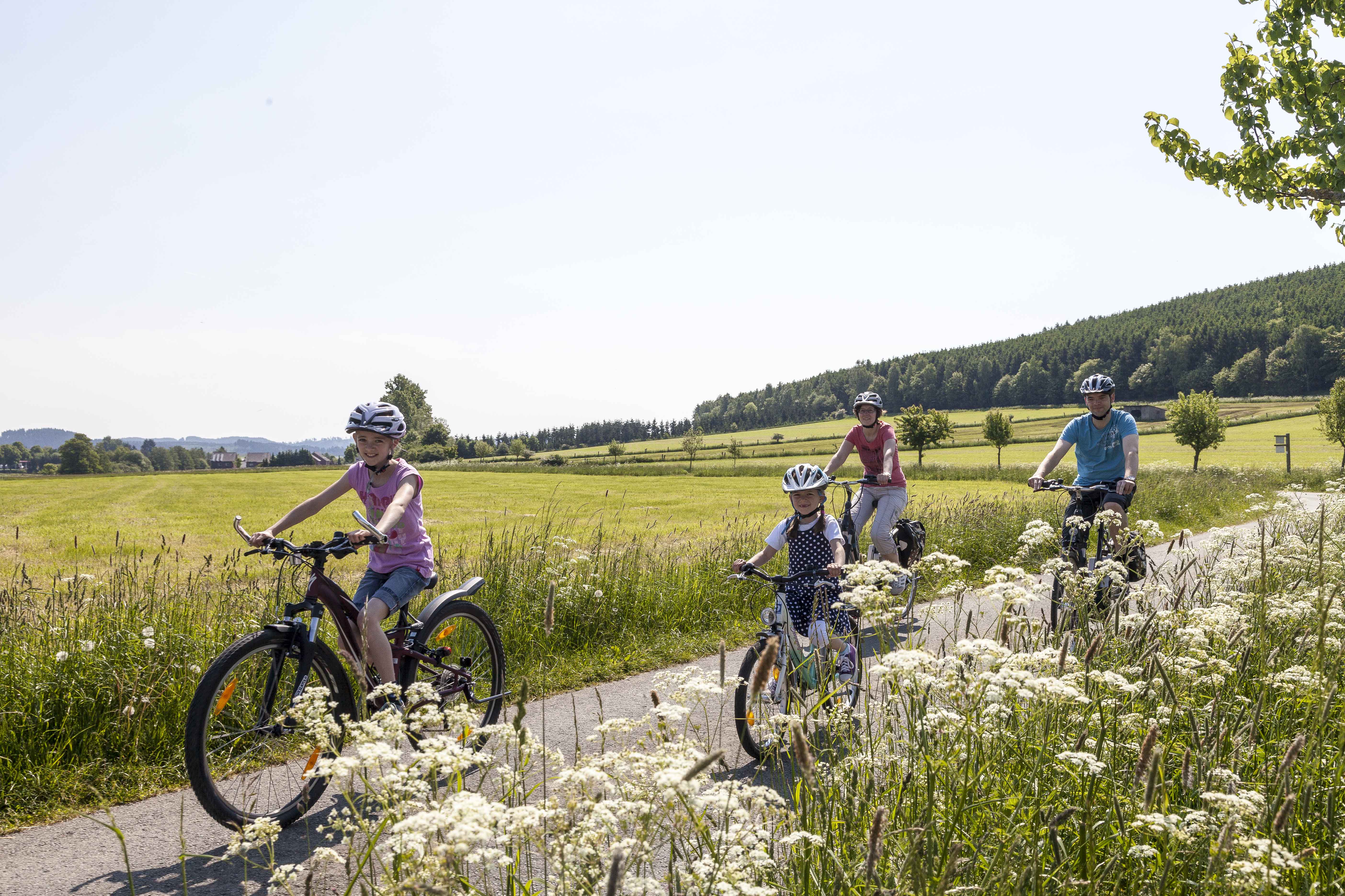 Radverkehrskonzept für das Stadtgebiet Medebach