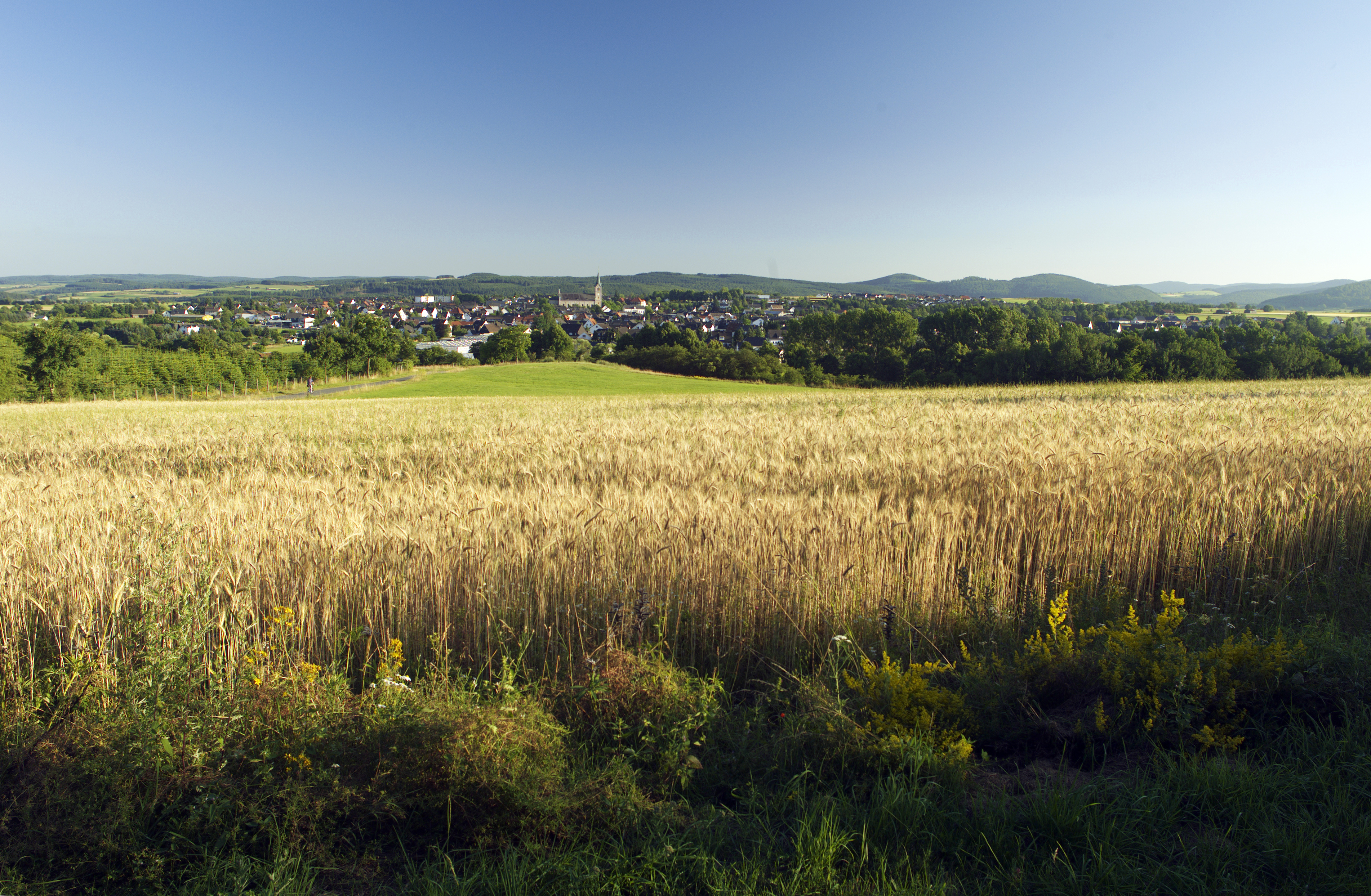 Ansicht Medebach