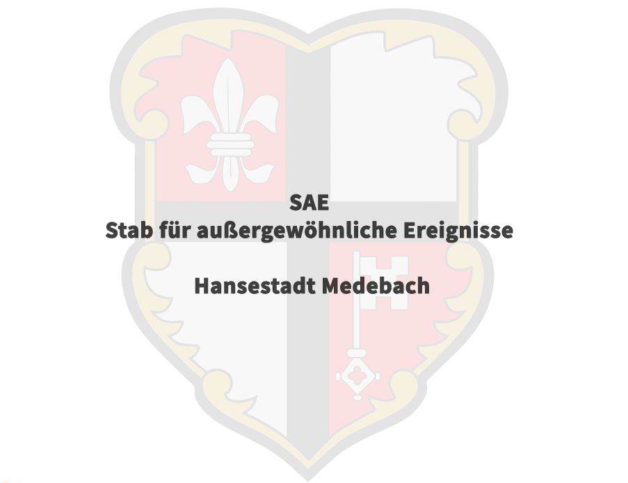 Logo SAE